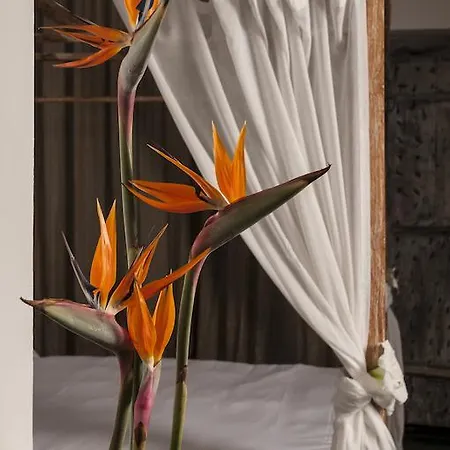 Seven Maze Charming House Bed & Breakfast 3*